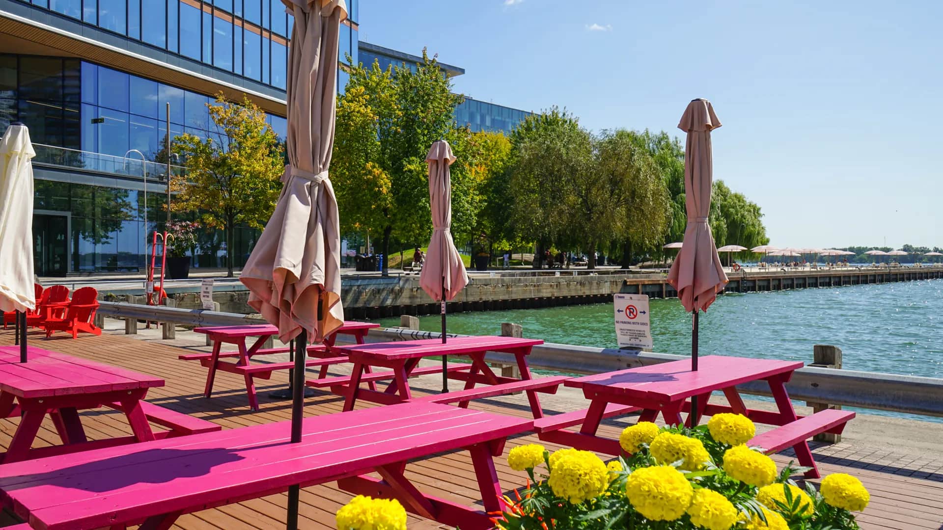 Pink picnic tables with closed umbrellas on a wooden deck by the waterfront, surrounded by yellow flowers and trees under a clear sky.