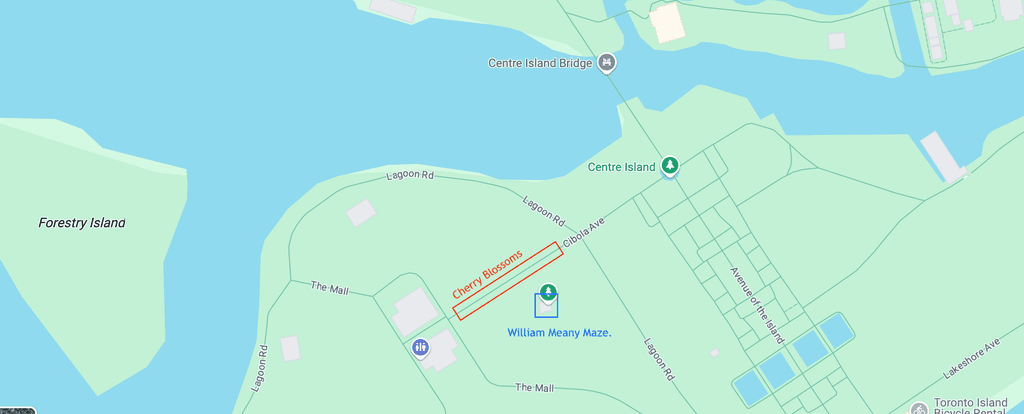 Map showing Centre Island with landmarks like Centre Island Bridge, Cherry Avenue, and William Meany Maze near Forestry Island.
