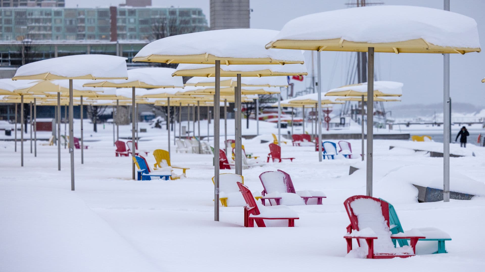 Picture of HTO Park snowed on