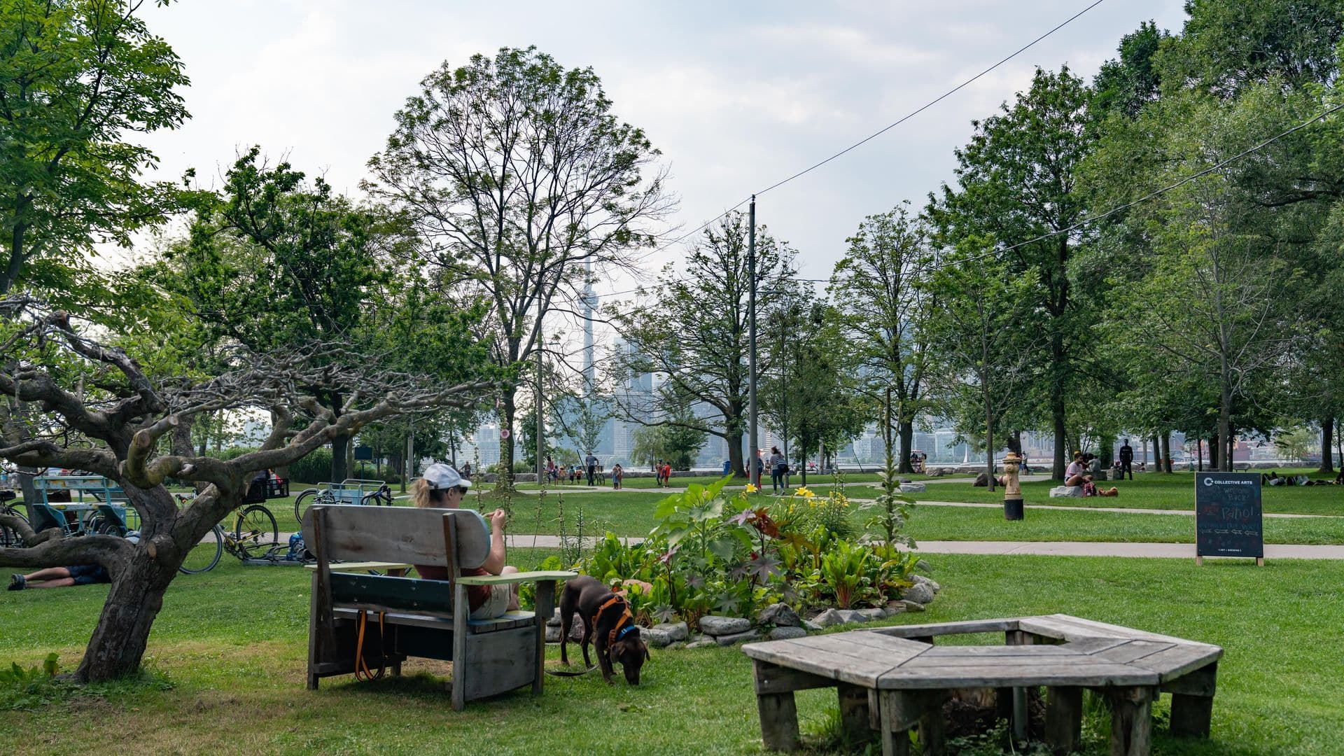 Greenery with Toronto skyline in background