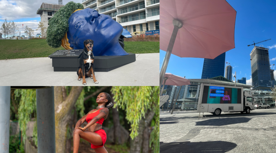 Toronto Waterfront Artist in Residence 2021 Wrap Up!
