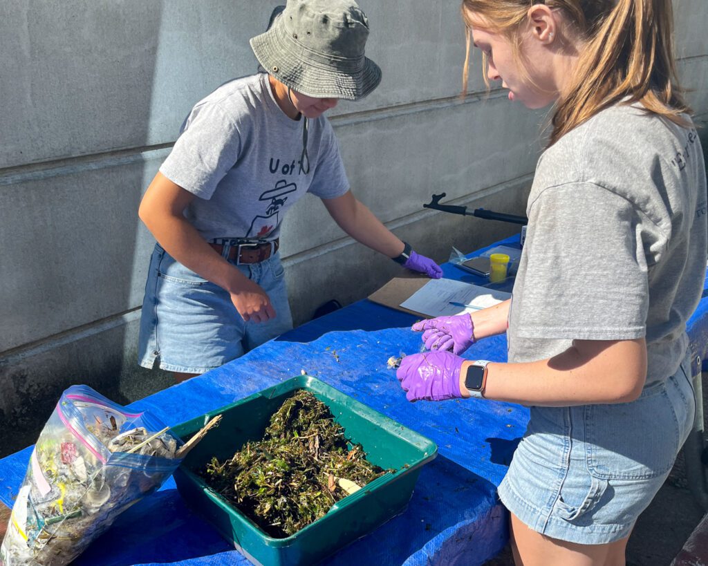 U of T Trash Team students organize Seabin contents on a table